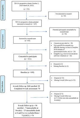 Isolating together during COVID-19: Results from the Telehealth Intervention Program for older adults